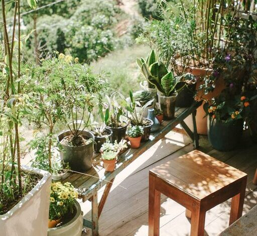 Cum amenajezi un balcon mic pentru relaxare și cafea